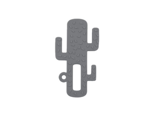 MinikoioiCactusGray MinikoioiCactusGray