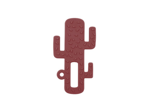 cactusminikoioiRose cactusminikoioiRose