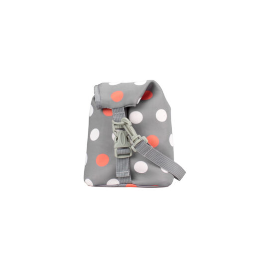 DrBrownsBottleBaggray DrBrownsBottleBaggray