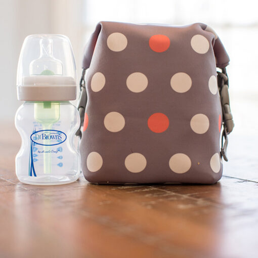 DrBrownsBottleBaggray2 DrBrownsBottleBaggray