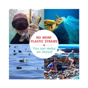 straw 4