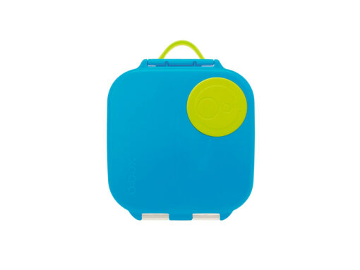 Mini-Lunch-Box-4 MiniLunchBox