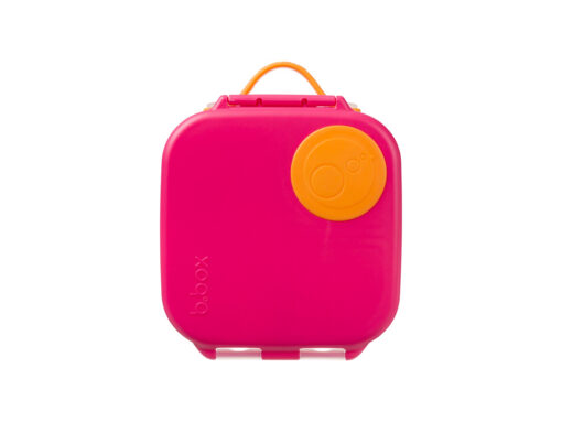 Mini-Lunch-Box-3 MiniLunchBox