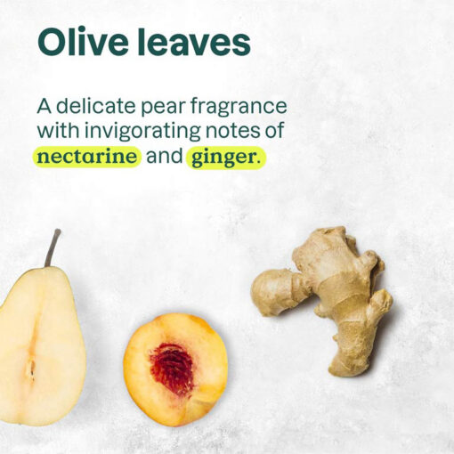 SuperLeaves-Shampoo-Grape4 Attitude Super Leaves Nourishing Shampoo