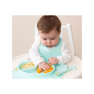 plate-1