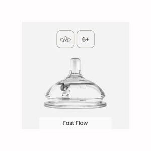 fast-flow-1
