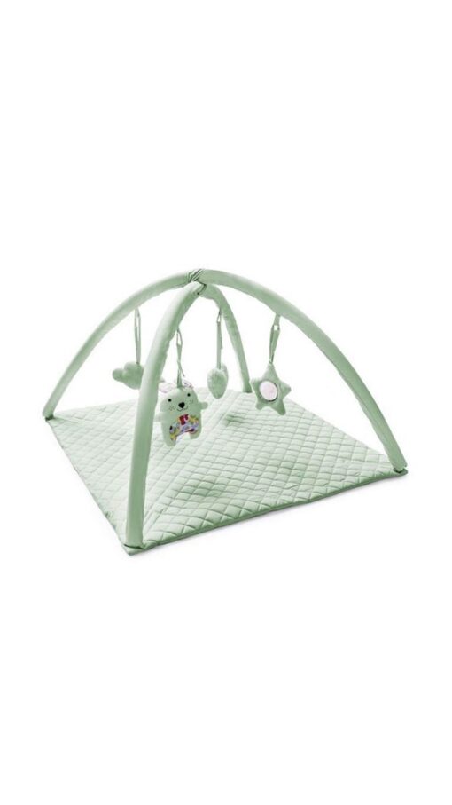 Babyjem Baby Activity Gym - Green
