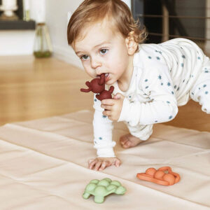 Doddle&CoAntTeether1.jpg2