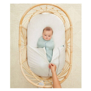 ErgobabyBabyTuckBassinetCradle