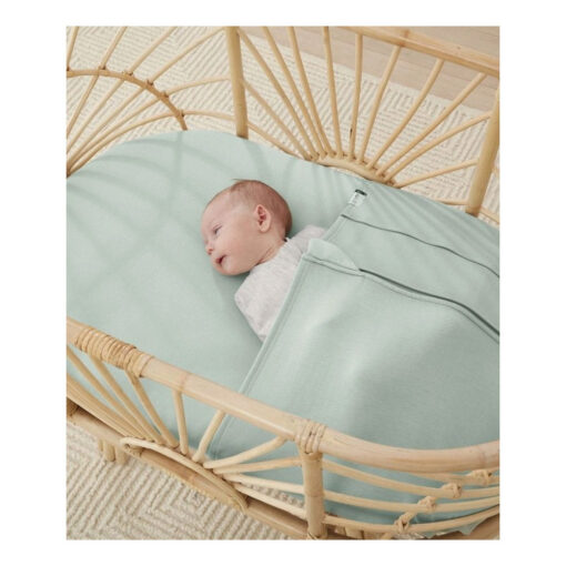 ErgobabyBabyTuckBassinetCradle2 ErgobabyBabyTuckBassinetCradle