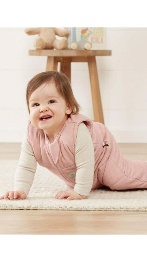 ErgopouchJerseyPink Ergopouch Jersey 2.5 Tog Sleeping Bag (3-12m) – Berries