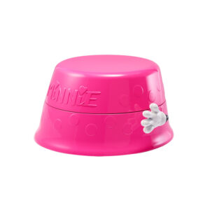 DisneyPotty3In1