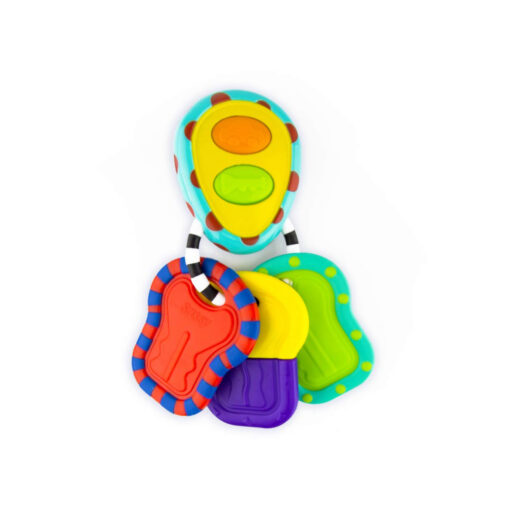 SassyElectronicKeys SassyElectronicKeys