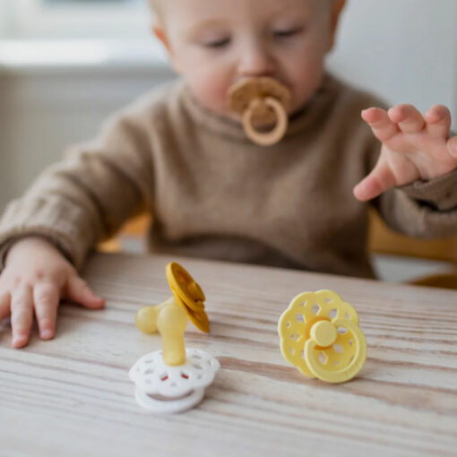 BIBSPacifier2 BIBSBOHEMEPacifier