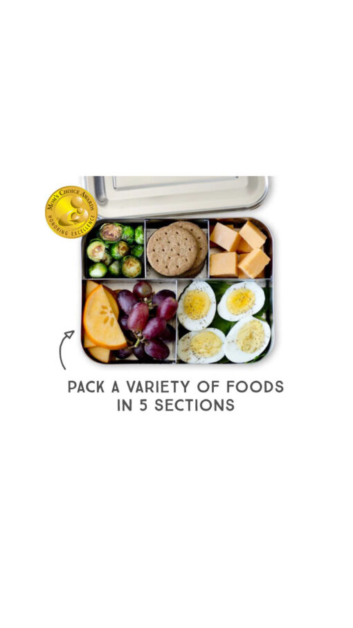 LunchbotsLargeCincoBox1 LunchbotsLargeCincoBox1