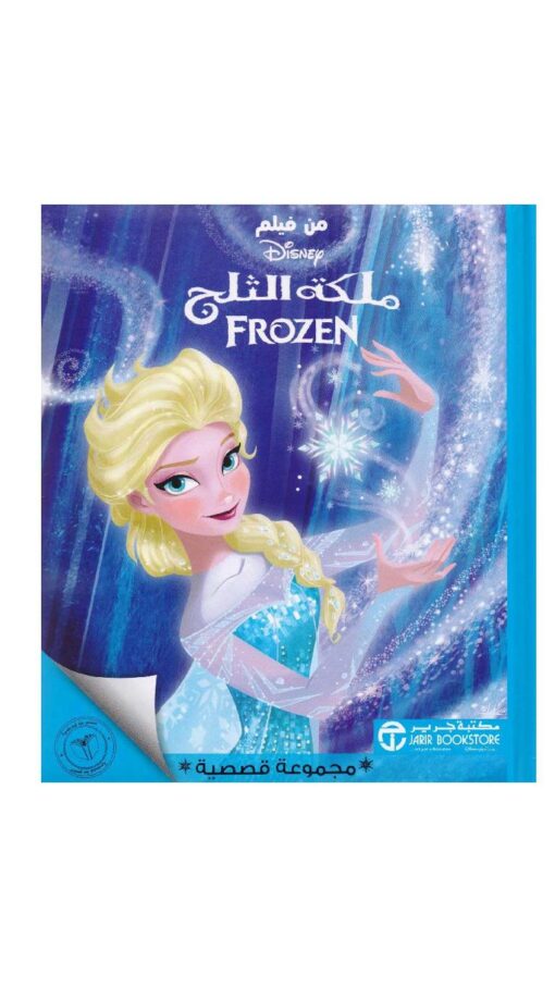 DisneyFrozenBook