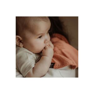 KipKep 3 in 1 Bib Kisses 4 You Sienna – 2 Pair