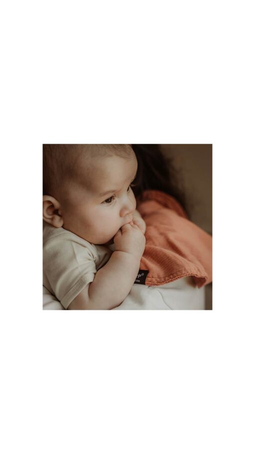 KipkepBibSienna1 KipKep 3 in 1 Bib Kisses 4 You Sienna – 2 Pair