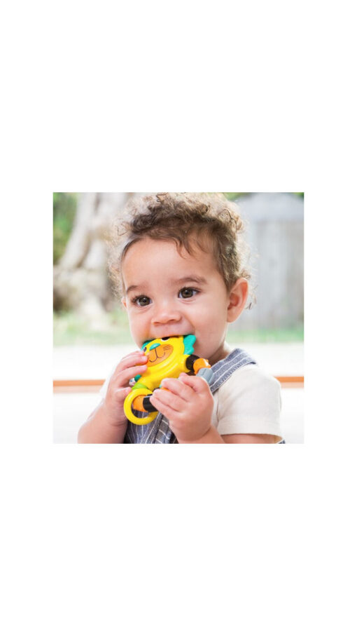 InfantinoLionTeether3 InfantinoLionTeether3