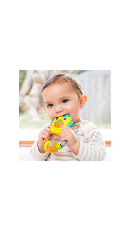 InfantinoLionTeether2 InfantinoLionTeether2