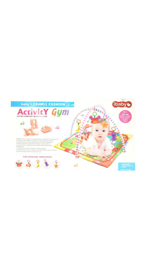 iBabyActivityGym iBabyActivityGym