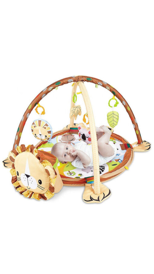 IBabyBabyGymRack&GamepadCombo2 IBabyBabyGymRack&GamepadCombo2