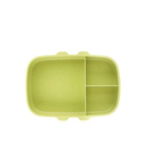 Honobox-SmallLunchBoxLime2