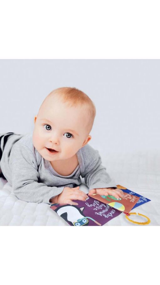 BabyjemAnimalStoryBook1 BabyjemAnimalStoryBook1