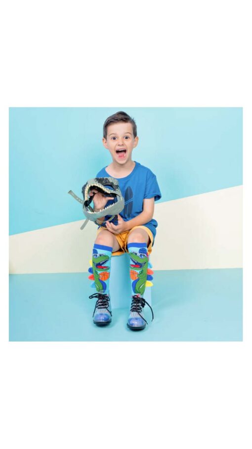 MadmiaDinosaurSocksforKids&Adults.jpg2 MadmiaDinosaurSocksforKids