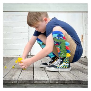 MadmiaDinosaurSocksforKids