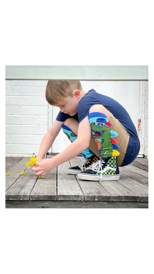 MadmiaDinosaurSocksforKids&Adults.jpg3 MadmiaDinosaurSocksforKids