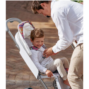 Bebebus Trip+ Baby Stroller