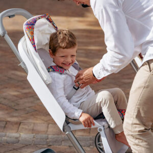 Bebebus Trip+ Baby Stroller