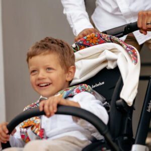 Bebebus Art+ Stroller