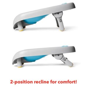 Skip Hop Baby Bath Tub, Moby Recline and Rinse