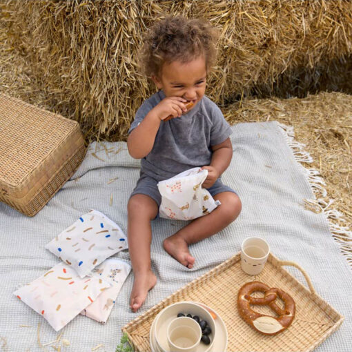 Lässig Snack Bag (2 pcs) - Little Mateys Lässig Snack Bag (2 pcs) - Little Mateys