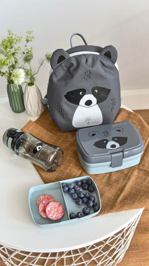 Lunch-Set-About-Friends-Racoon5 Lassig Lunch Set About Friends (Lunch Box + Drinking Bottle) - Racoon