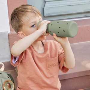 Lassig Stainless Steel Bottle (500ml) - Light Olive