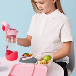 B.Box Lunch Box - Flamingo Fizz