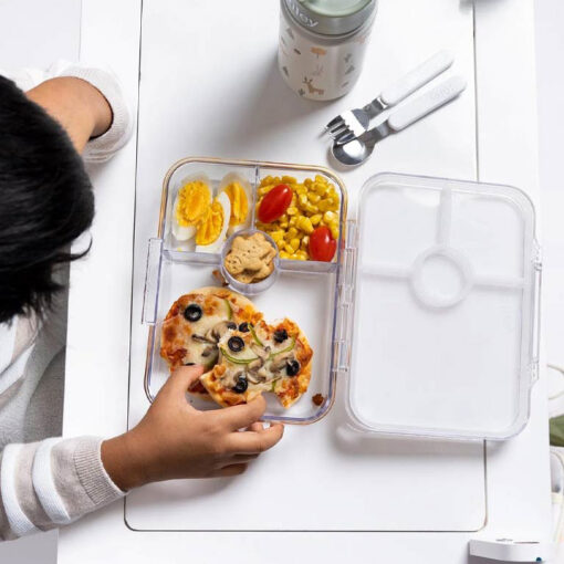 Little-IA-Dinosaur-Lunch-Box3 Little IA Tritan Bento Box (Clear) - Dinosaur