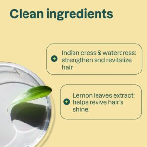 Attitude Super Leaves Clarifying Conditioner
