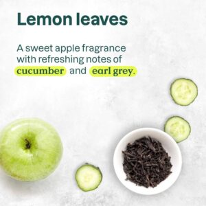 Attitude Super Leaves Clarifying Conditioner