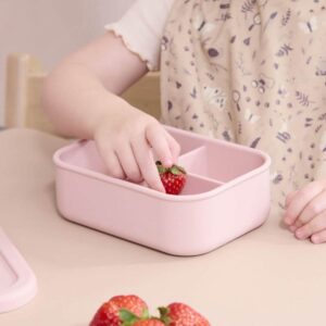 Filibabba Silicone Lunchbox - Little Wonders