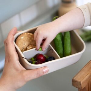 Filibabba Silicone Lunchbox - Toasted Almond