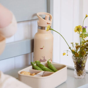 Filibabba Stainless Steel Thermo Bottle (350ml) - Carrot Thief