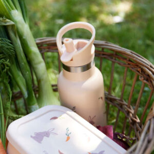 Filibabba Stainless Steel Thermo Bottle (350ml) - Carrot Thief
