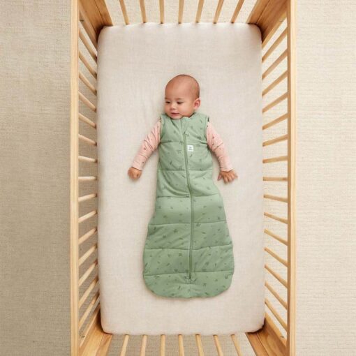 Ergopouch 2.5 TOG Jersey Sleeping Bag (3-12m) - Willow Green Ergopouch 2.5 TOG Jersey Sleeping Bag (3-12m) - Willow Green