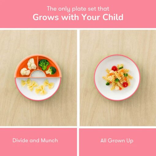 Omie-Easy-Scoop-Kids-Plate-with-Divider-Pink04 Omie Easy Scoop Kids Plate with Divider - Pink