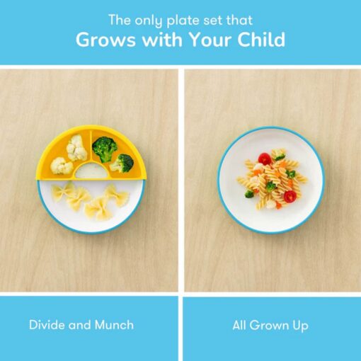 Omie-Easy-Scoop-Kids-Plate-with-Divider-Blue04 Omie Easy Scoop Kids Plate with Divider - Blue