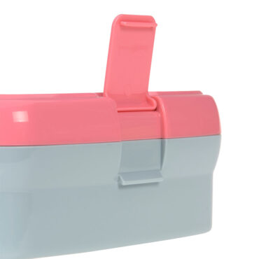 Lassig Lunch Set (Lunchbox & Bottle) - About Friends, Dino Rose